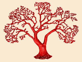 Tree image
